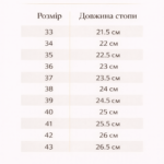 Туфлі зі стрічками та вишитим візерунком